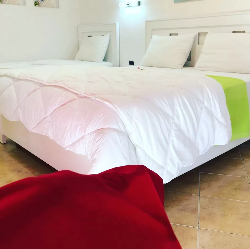 Envi 14 - STD TRPL 2.jpg